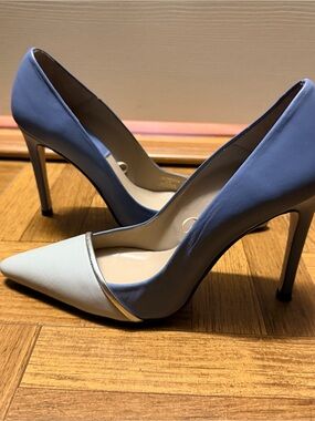 Zara Classic Two-Tone Pointed Toe Pumps in Blue and White